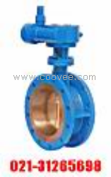 供應高性能蝶閥