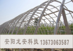 昆明無支柱花卉大棚示范基地