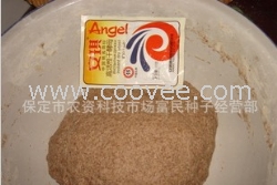 供應(yīng)保健食品黑小麥粉