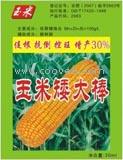 公司首页 供应信息 详细说明 玉米矮大棒   15093169198  产品名:玉米