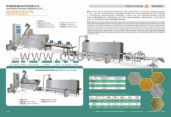 人造營養(yǎng)強(qiáng)化米設(shè)備
