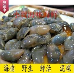廠家直銷速鮮閣海產(chǎn)品 海鮮 干貨禮盒批發(fā)
