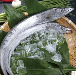 廠家直銷速鮮閣海產(chǎn)品 海鮮 干貨 蝦批發(fā)