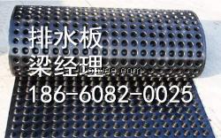 園林綠化排水板銷售
