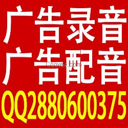 服装叫卖录音免费下载