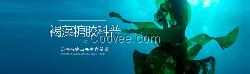 可信賴的牛樟菇,馥闊（上海）生物科技