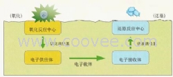 各类室内装修污染治理服务